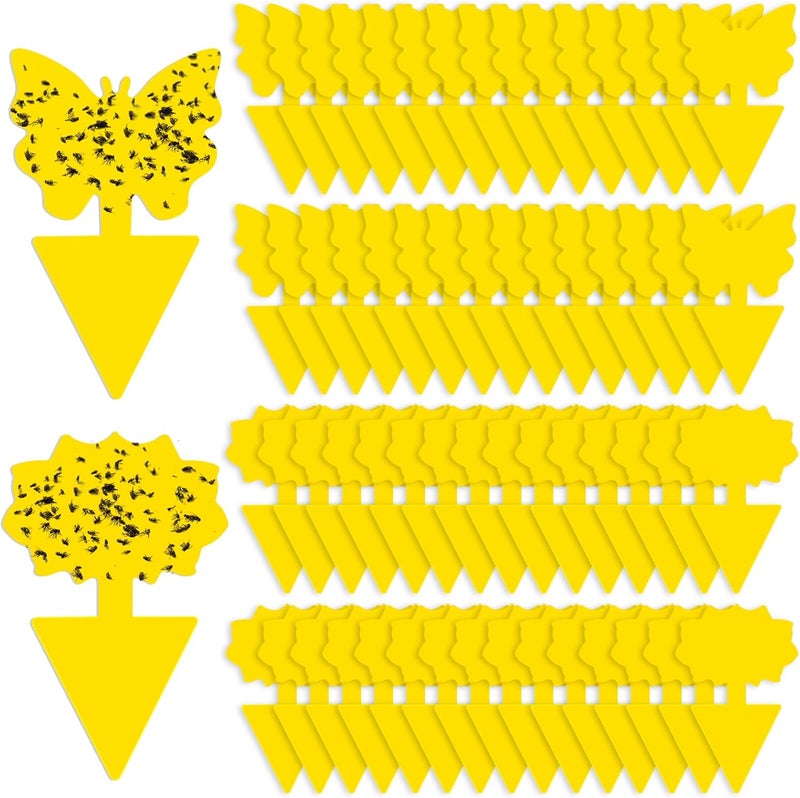 Boromine Fruit Fly Traps, 60 Pack Yellow Sticky Traps, Fungus Gnat Traps, Plant Fly Stickers for Indoor and Outdoor Use Protect The Plant - Image 1